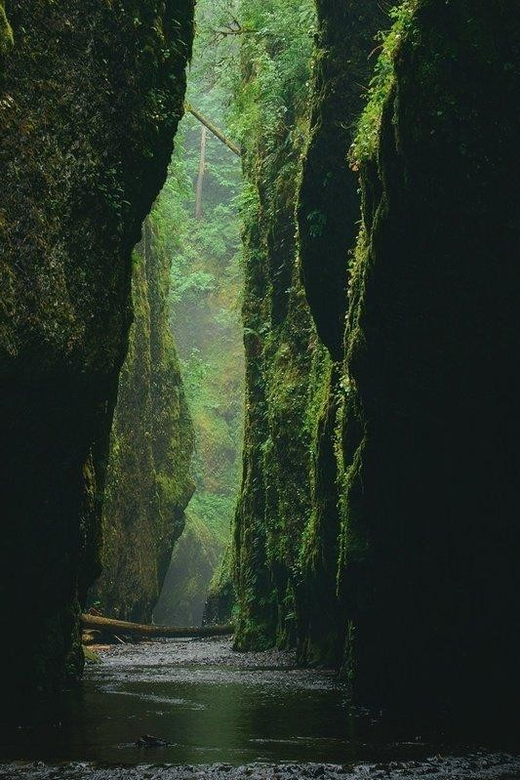 Alanya Green Canyon Boat tour with Lunch and Swimming Breaks - Who will enjoy this tour most
