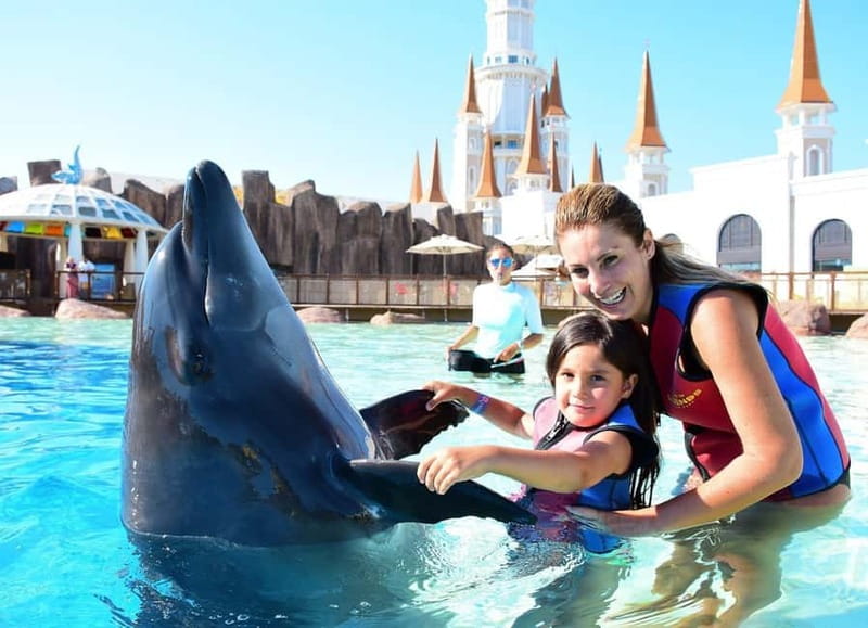 Alanya, Side To Land of Legends Theme Park Ticket & Transfer - The transfer from Alanya, Side, Antalya or Kemer
