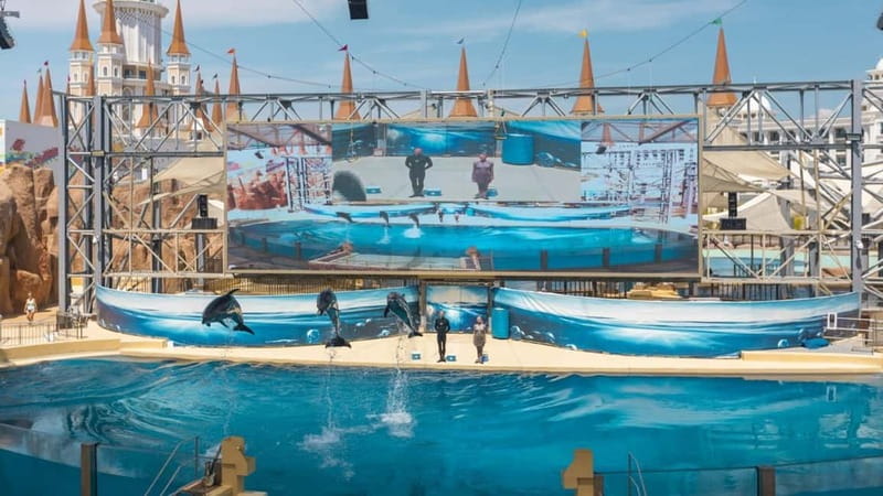 Alanya, Side To Land of Legends Theme Park Ticket & Transfer - Dolphin, sea lion and other live shows
