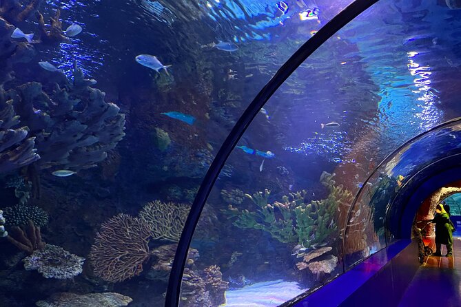 Antalya Aquarium and Face to Face Wax Museum Private Transfer - Face2Face Wax Museum on the terrace floor