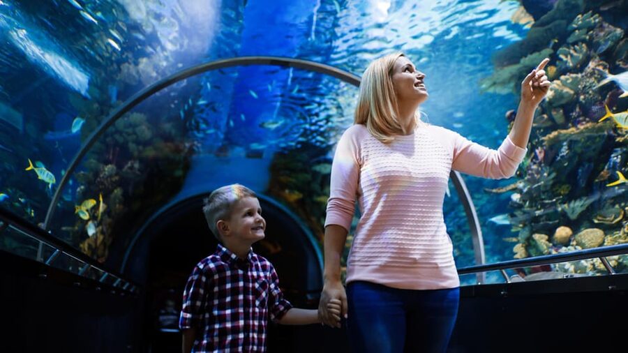 Antalya: Aquarium and Wax Museum Entry Ticket - From coral reefs to the lost city of Atlantis
