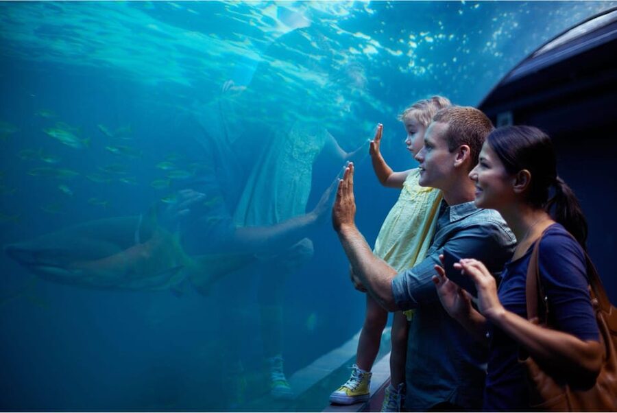 Antalya: Aquarium and Wax Museum Entry Ticket - The Face 2 Face Wax Museum adds a lighter second stop