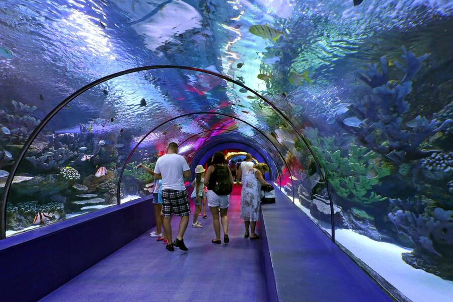 Antalya: Aquarium and Wax Museum Entry Ticket - My verdict on the aquarium and wax museum ticket