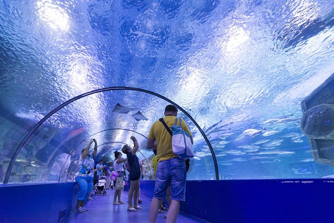 Antalya: Aquarium Ticket With Optional Transfer - The appeal of Wild Park and Snow World