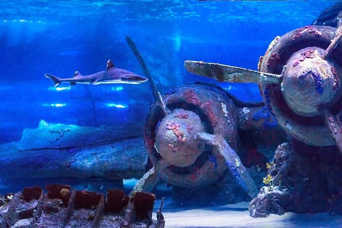 Antalya: Aquarium Ticket With Optional Transfer - Who should book this Antalya attraction?