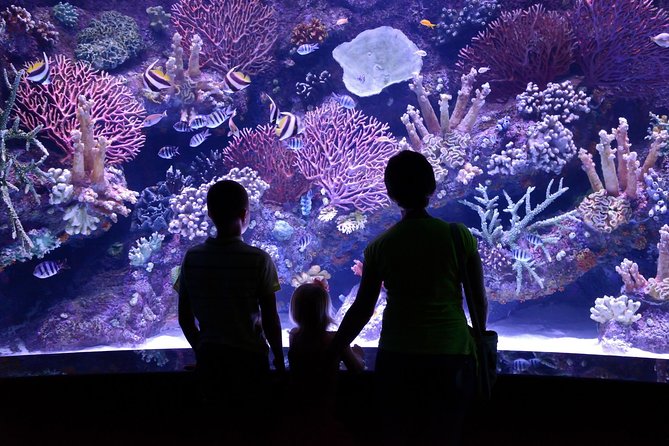 Antalya: Aquarium Ticket With Optional Transfer - Choosing the ticket and transfer option