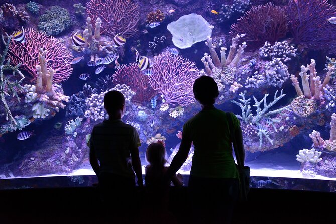 Antalya: Aquarium, Wax Museum & Combo Package Options - Antalya Aquarium near Konyaaltı Beach