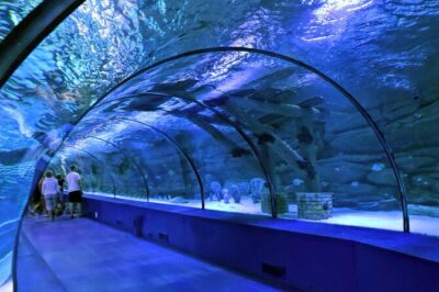Aquarium, Wax Museum & Combo Package Options