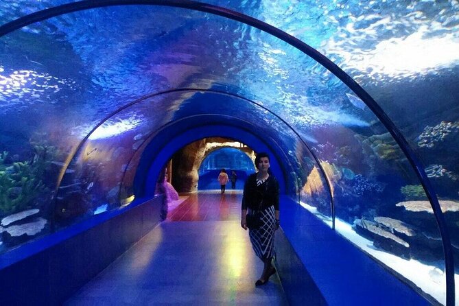 Antalya: Aquarium, Wax Museum & Combo Package Options - What the $54.06 price means