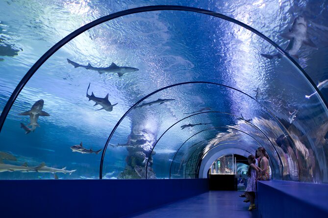Antalya: Aquarium, Wax Museum & Combo Package Options - Cancellation and booking details