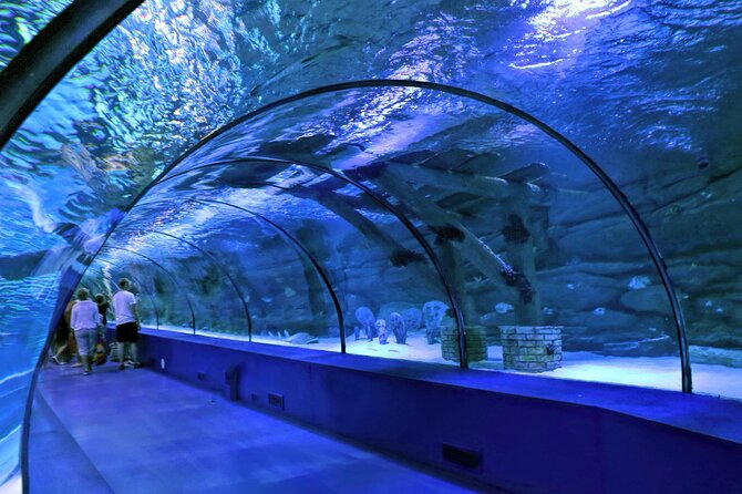 Antalya: Aquarium, Wax Museum & Combo Package Options - Snow World and the Ice Museum