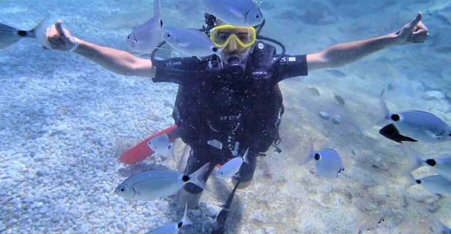Antalya/ Belek Scuba Diving Tour With 2 Time Dive & Lunch - Two underwater sessions along Antalya’s Mediterranean coast