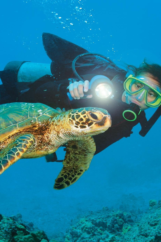 Antalya/ Belek Scuba Diving Tour With 2 Time Dive & Lunch - The boat between sessions
