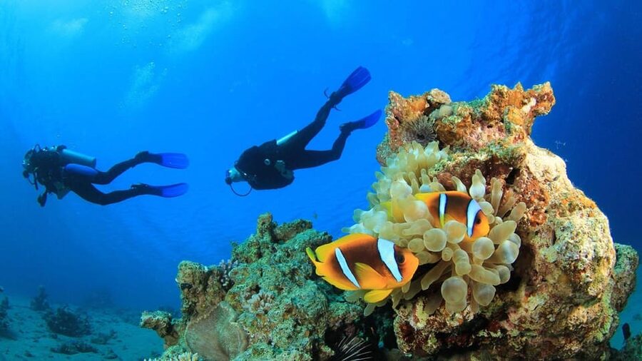 Antalya/ Belek Scuba Diving Tour With 2 Time Dive & Lunch - What to bring and what to leave flexible