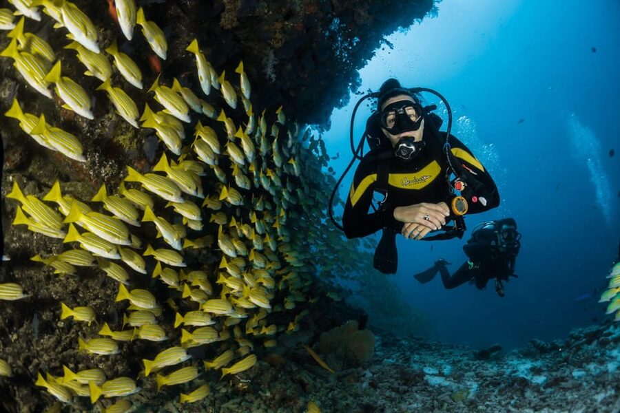 Antalya/ Belek Scuba Diving Tour With 2 Time Dive & Lunch - What you can expect below the surface