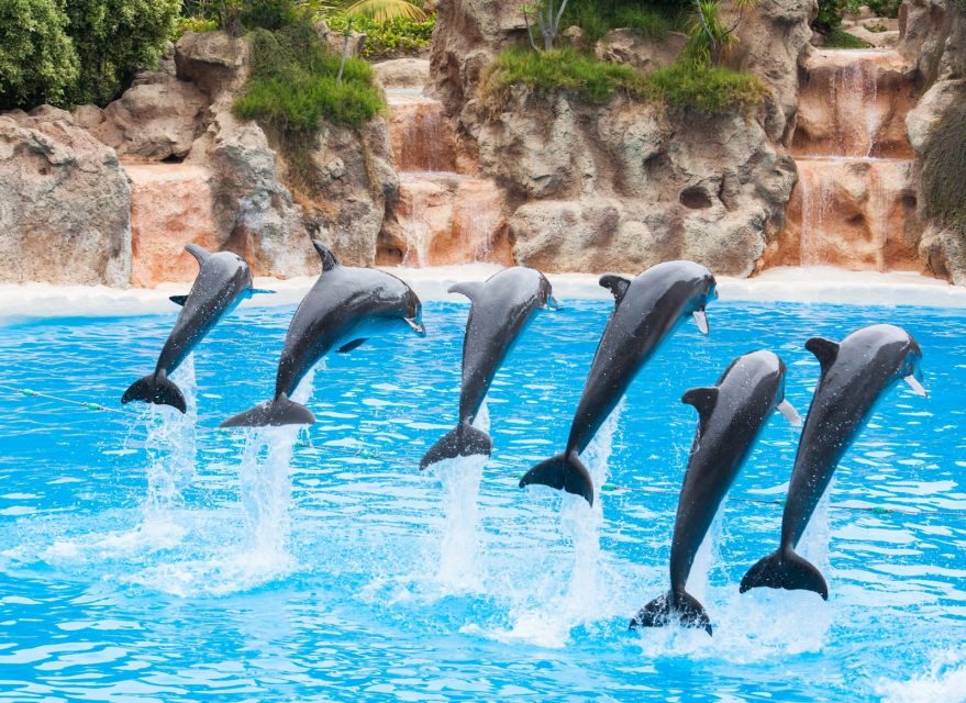Antalya/Belek: The Land of Legends Theme Park with Transfer - What the $28 price really covers