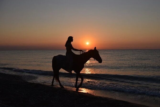 Antalya Horse Riding On Beach And Through The Forests For 2 Hours - From Antalya streets to Lara’s riding country