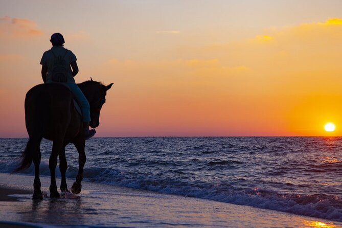 Antalya Horse Riding On Beach And Through The Forests For 2 Hours - The horses, guide, and safety setup
