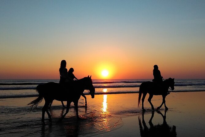 Antalya Horse Riding On Beach And Through The Forests For 2 Hours - Who will enjoy this Antalya ride?