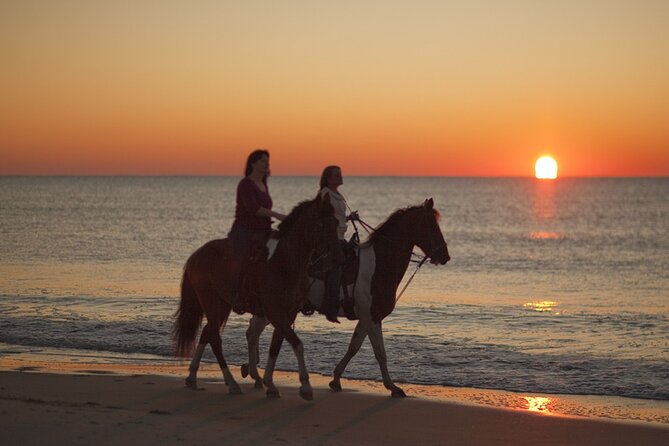 Antalya Horse Riding On Beach And Through The Forests For 2 Hours - Cancellation and weather rules