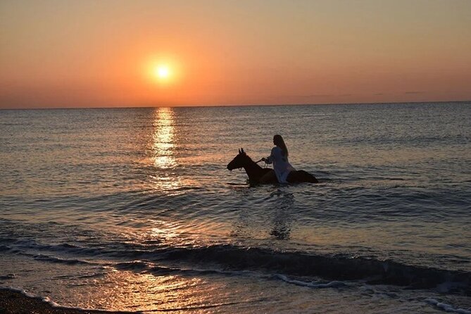 Antalya Horse Riding On Beach And Through The Forests For 2 Hours - Sunrise and sunset sessions at Lara Beach