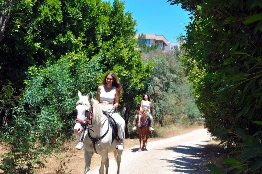 Antalya: Horseback Riding on the Beach and in the Forest - Should you book this horse ride?