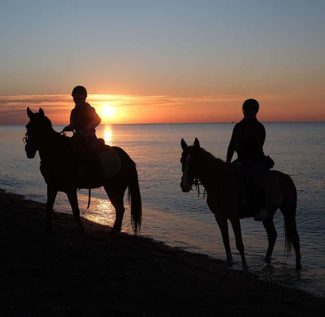 Antalya: Horseback Riding on the Beach and in the Forest - What the horses and guides are like