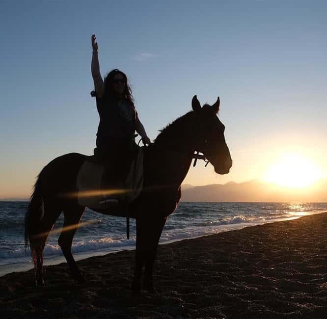 Antalya: Horseback Riding on the Beach and in the Forest - Practical tips for a smoother ride