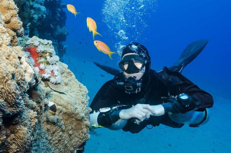 Antalya/Kemer: 2 Dives Scuba Diving Trip with Lunch - Camyuva safety briefing and equipment check