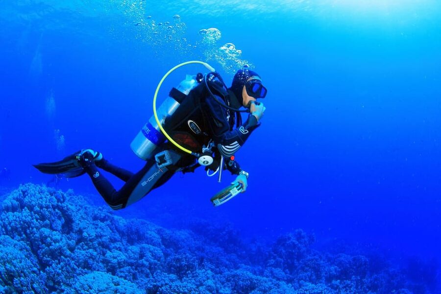 Antalya/ Kemer/ Belek Scuba Diving With Lunch & Transfer - Winter changes the format