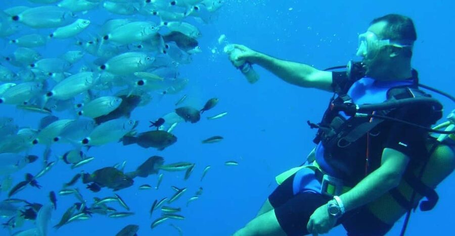 Antalya/ Kemer/ Belek Scuba Diving With Lunch & Transfer - Why Kemer is a good place for a first scuba outing