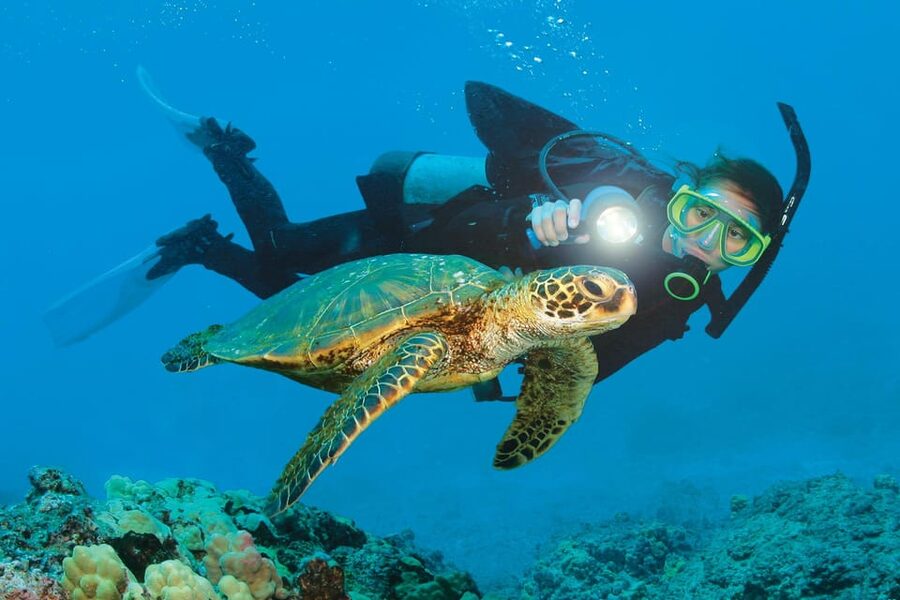 Antalya/ Kemer/ Belek Scuba Diving With Lunch & Transfer - The first underwater session in Kemer
