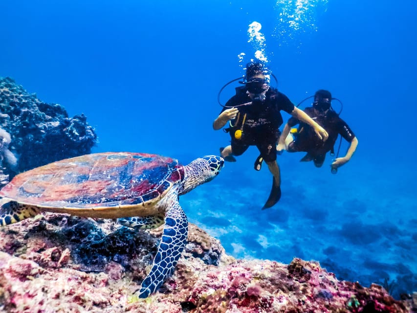 Antalya/ Kemer/ Belek Scuba Diving With Lunch & Transfer - Who should book this day on the Mediterranean