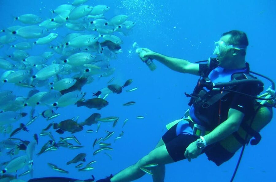 Antalya/ Kemer/ Belek Scuba Diving With Lunch & Transfer - From Antalya, Kemer, or Belek to the boat