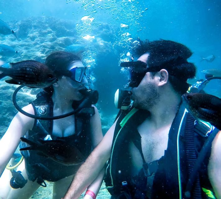 Antalya/Kemer: Scuba Diving Experience with Lunch & Pick up - Aquarium Bay: an easy first underwater session