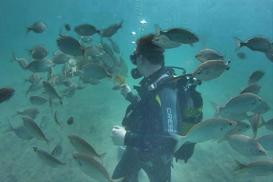 Antalya/Kemer: Scuba Diving Experience with Lunch & Pick up - Lunch and the wait between sessions