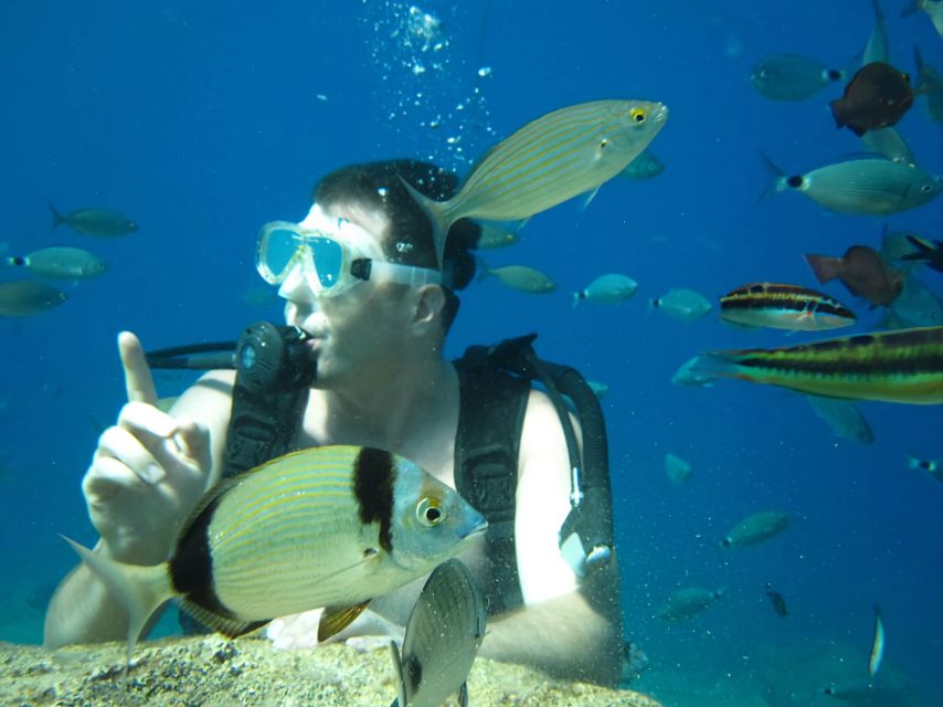 Antalya/Kemer: Scuba Diving Experience with Lunch & Pick up - Kiris Bay and the deeper second session