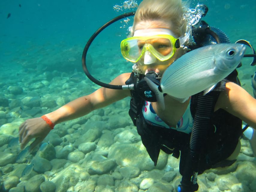 Antalya/Kemer: Scuba Diving Experience with Lunch & Pick up - Is the $29 price good value?