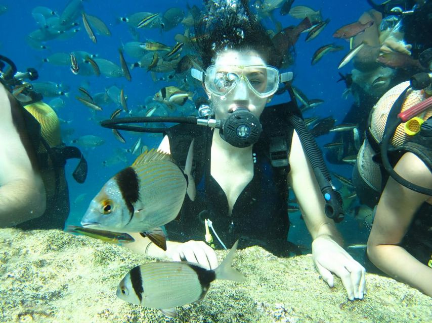 Antalya/Kemer: Scuba Diving Experience with Lunch & Pick up - What the morning looks like at Kemer Marina