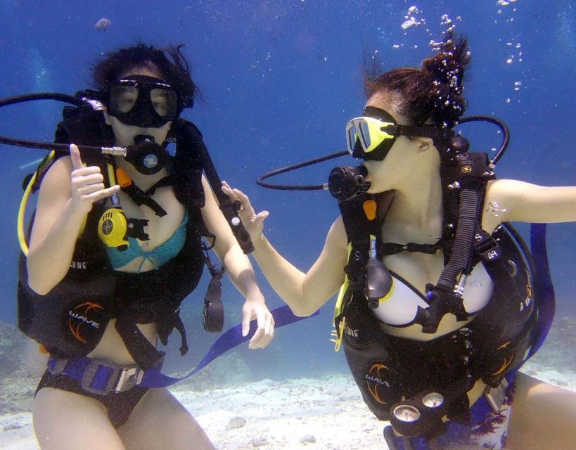 Antalya/Kemer: Scuba Diving with Pickup, Lunch, and 2 Dives - From Antalya hotel pickup to the Kemer port
