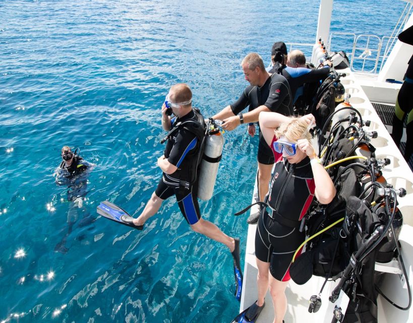 Antalya/Kemer: Scuba Diving with Pickup, Lunch, and 2 Dives - Two sites, two different chances to get comfortable
