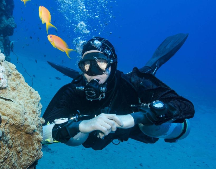 Antalya/Kemer: Scuba Diving with Pickup, Lunch, and 2 Dives - How the price compares with the experience