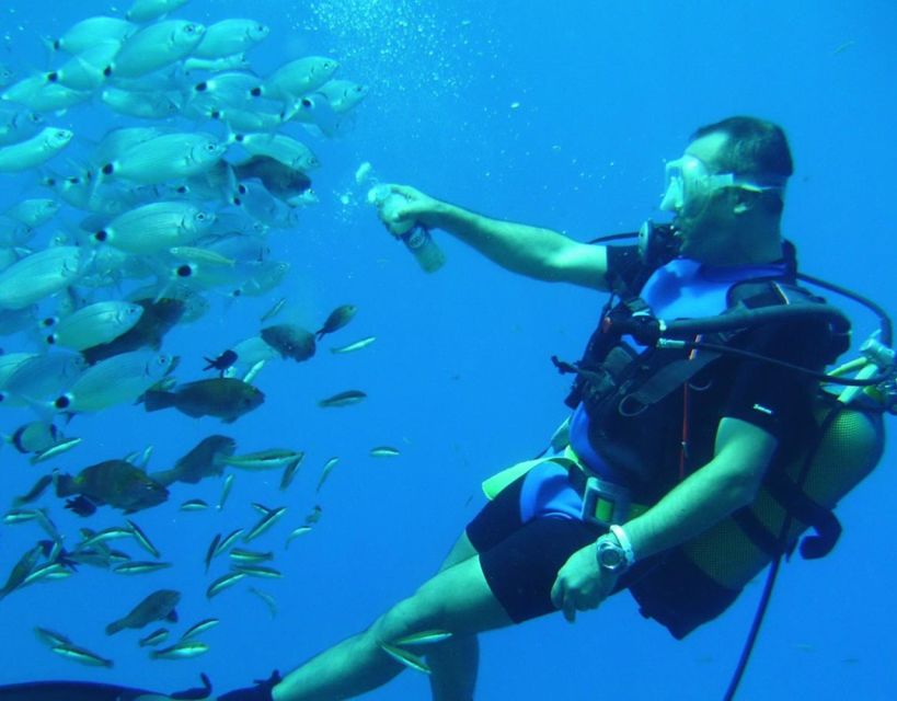 Antalya/Kemer: Scuba Diving with Pickup, Lunch, and 2 Dives - Winter conditions can alter the schedule