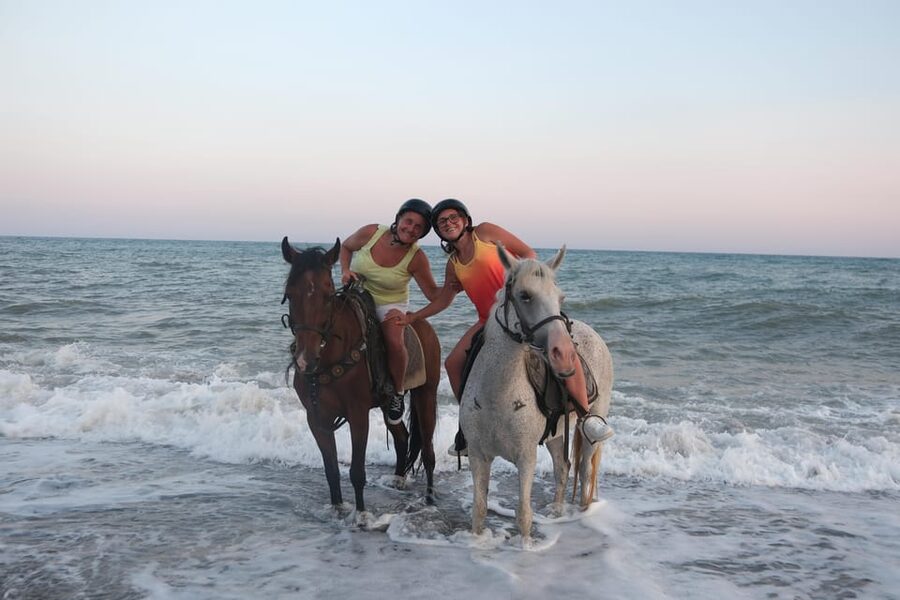 Antalya: Lara Beach & Forrest Horse Riding Safari - A Forest Ride That Starts Gently