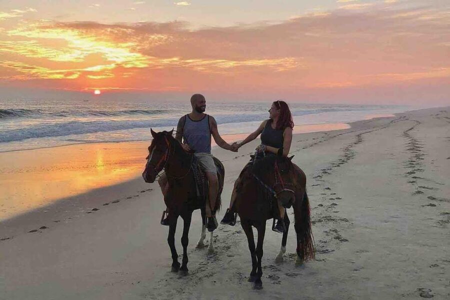Antalya: Lara Beach & Forrest Horse Riding Safari - Calm Horses and Patient Instruction