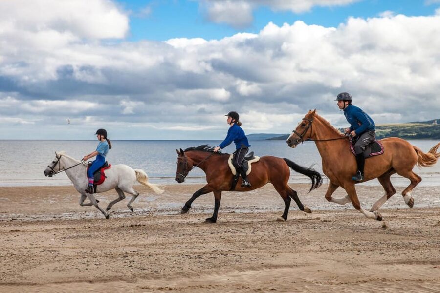 Antalya: Lara Beach & Forrest Horse Riding Safari - Limits and Practical Details to Know