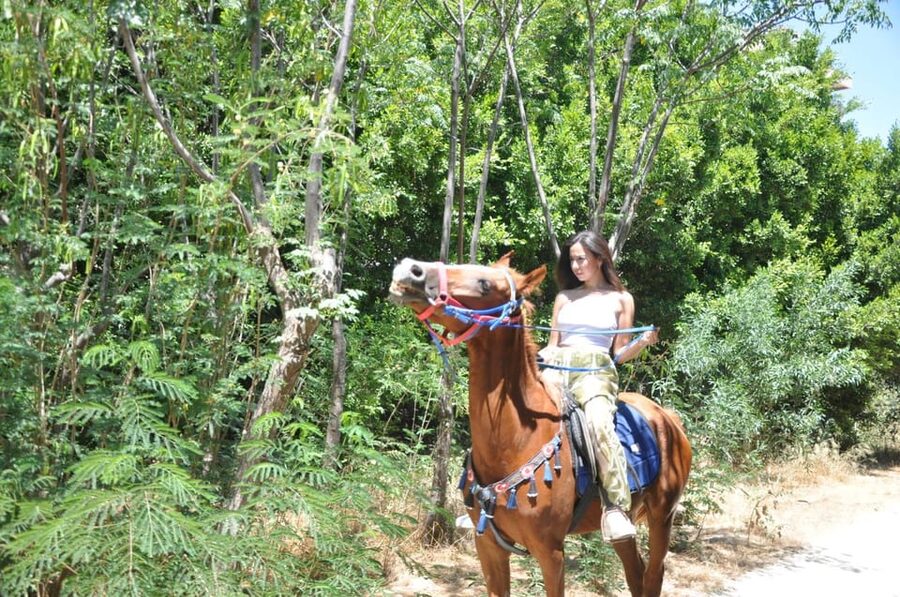 Antalya: Lara Beach & Forrest Horse Riding Safari - How It Compares With a More Serious Riding Trip