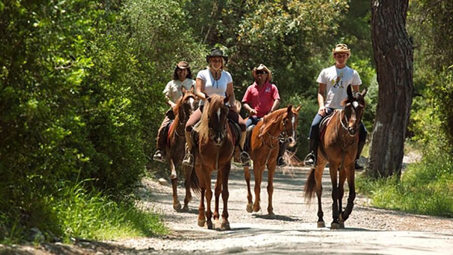Antalya: Lara Beach & Forrest Horse Riding Safari - FAQ
