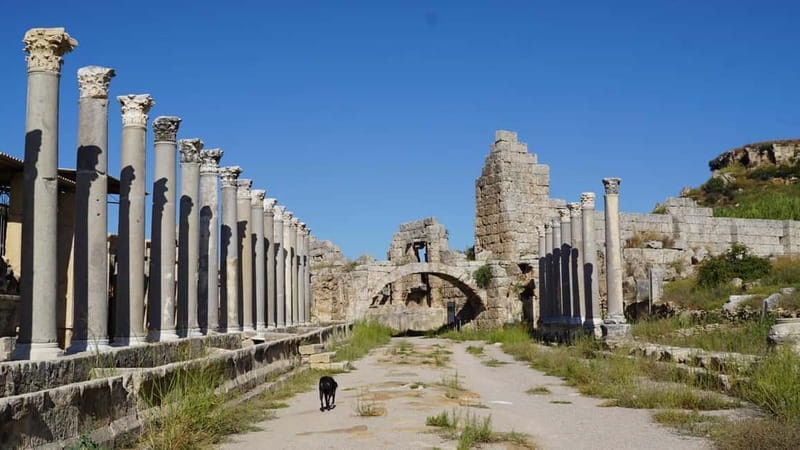 Antalya: Perge Ancient City Tour - Entering Through Perge’s Monumental Gates
