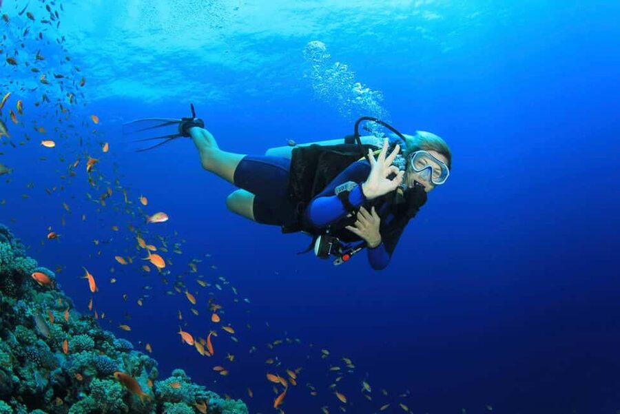 Antalya Scuba Diving Adventure with Expert Diver Option - Aquarium Bay offers the gentler first session